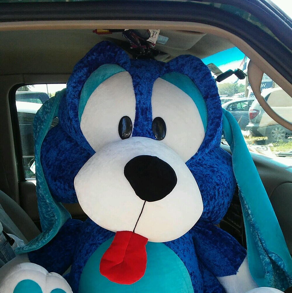 Meet your Posher, Rachel